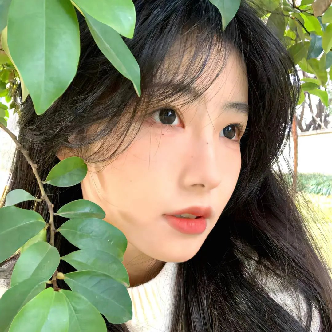 达妮卡